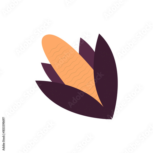 Corncob illustration flat