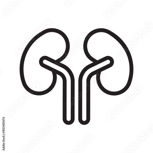 Kidneys Illustration Vector Icon Outline Style Renal Health Urology Anatomy Medical Symbol Healthcare Design Kidney