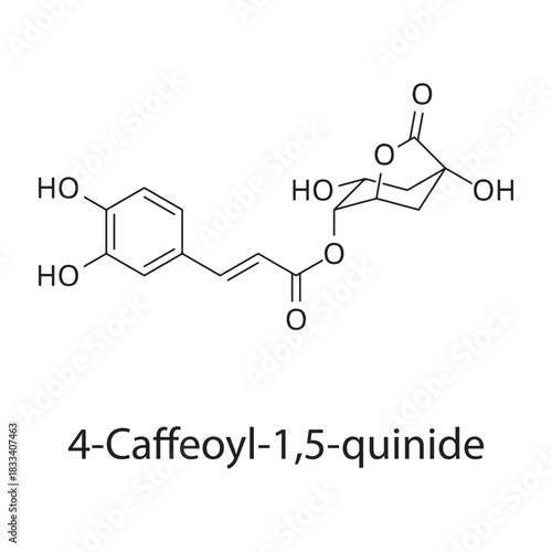 4-Caffeoyl-1,5-quinide molecular structure, coffee-derived bioactive compound, clean scientific vector diagram, skeletal chemical formula