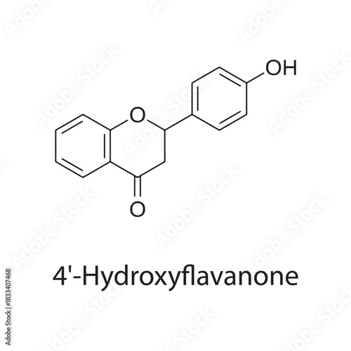 4'-Hydroxyflavanone molecular structure, flavonoid derivative bioactive compound, clean scientific vector diagram, skeletal chemical formula