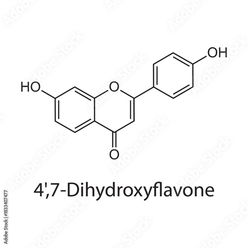 4',7-Dihydroxyflavone molecular structure, flavone derivative bioactive plant compound, clean scientific vector diagram, skeletal chemical formula