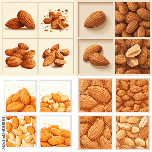 Realistic illustrations of whole almonds, cracked nuts, and peeled kernels arranged in square panels. Ideal for food design healthy nutrition packaging natural products and culinary artwork.