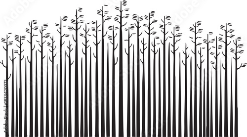 Aspen Grove Horizon Silhouettes with Tall Slender Trunks and Small Fluttering Leaves