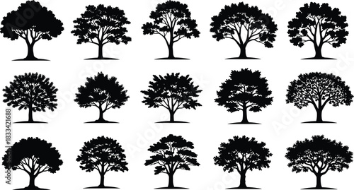 Tree Silhouette Vector Collection, Diverse Botanical Shapes, Black Clipart Set, Landscape Design Elements, Nature Graphic Illustration