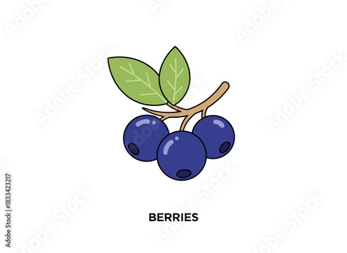 A vintage‑style botanical sketch of a blueberry branch, rendered as a hand‑drawn vector illustration of a sprig, isolated on a white background
