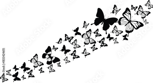 black silhouette of a butterfly