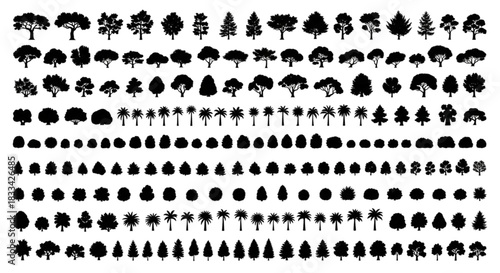 Large collection of diverse vector tree silhouettes for architectural rendering. Solid black cutout shapes of oak, pine, fir, and palm arranged in rows.