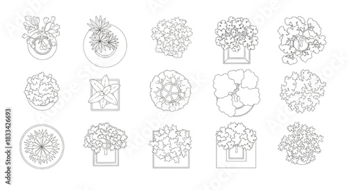 Top view architectural plant symbols set. Black outline technical drawing of trees and potted plants for floor plans.