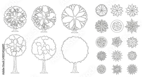 Top view architectural plant symbols set. Black outline technical drawing of trees and potted plants for floor plans.