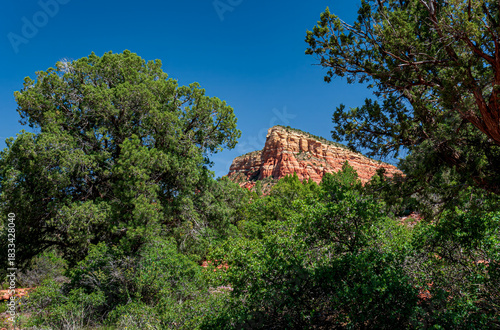 Beautiful red rocks and green forests of Sedona Arizona