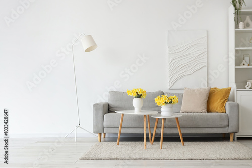 Interior of living room wit...