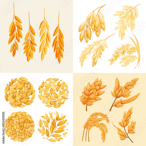 Beautiful golden grain and oat illustrations with detailed clusters and botanical arrangements. Ideal for agricultural themes, packaging design, organic products, nature art, and food graphics.