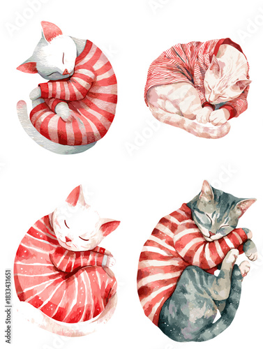 Cute watercolor cats sleeping in curled poses while wearing red striped pajamas. Perfect for cozy designs, nursery decor, children illustrations, greeting cards, and adorable character artwork.