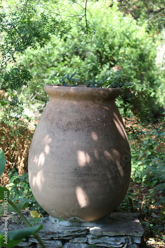 Beautiful large vase with green plant in the garden.