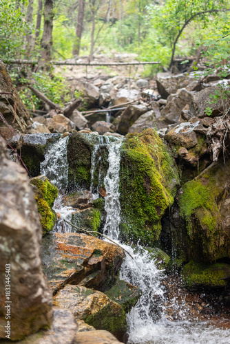 Small waterfall and moss covered rocks in Naramata Creek Regional Park, BC, Canada