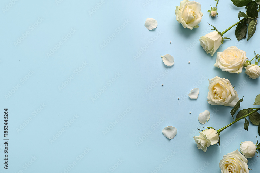 Fototapeta premium Beautiful white roses on blue background