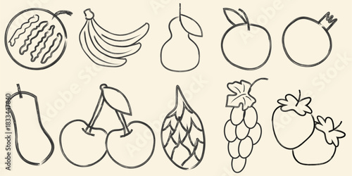 Set of Simple hand drawn fresh fruits doodles outline designs as design elements vector illustration