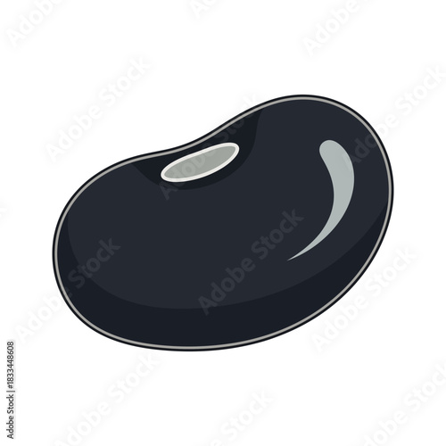 black bean vector illustration