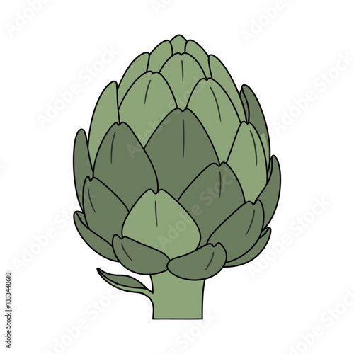 artichoke vegetable vector illustration