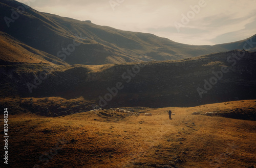 A lone shepherd walking with a flock of sheep across a golden mountain meadow at sunset, surrounded by dramatic layered hills and warm atmospheric light