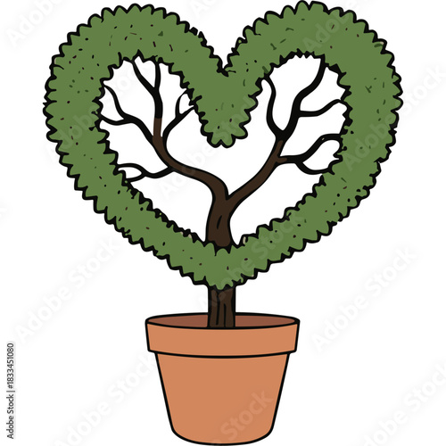 A Lush Green Heart Shaped Topiary Tree with Dark Branches in a Rustic Terracotta Pot Against a Simple Dark Background Creating a Romantic Garden Element