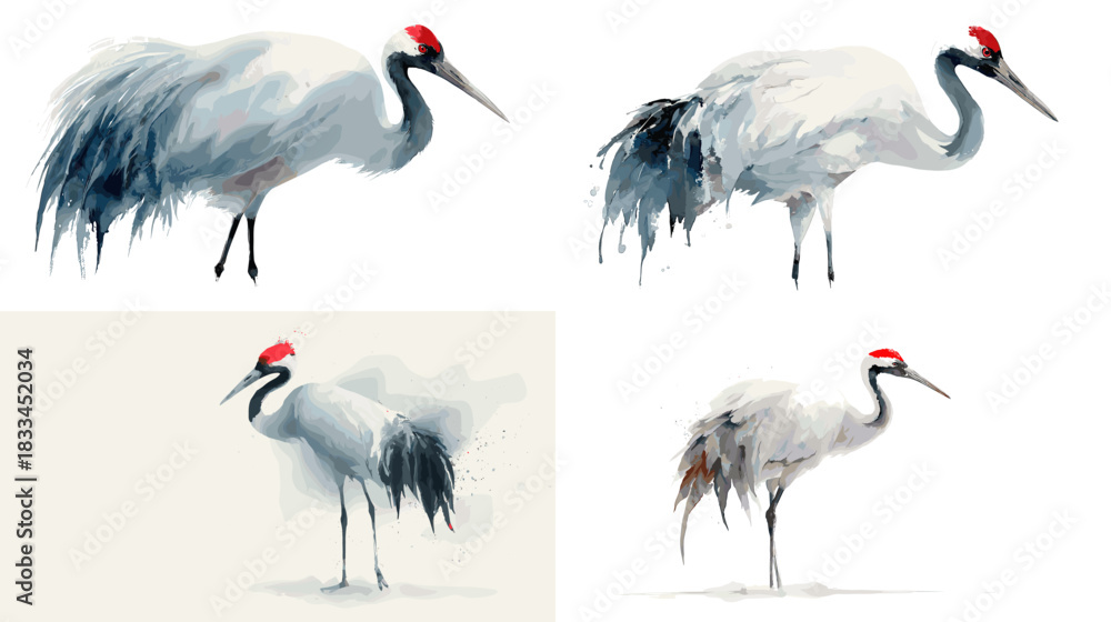 Naklejka premium Watercolor illustration of graceful cranes with red crowns and soft textured feathers ideal for nature art decor wildlife themes and elegant design projects.