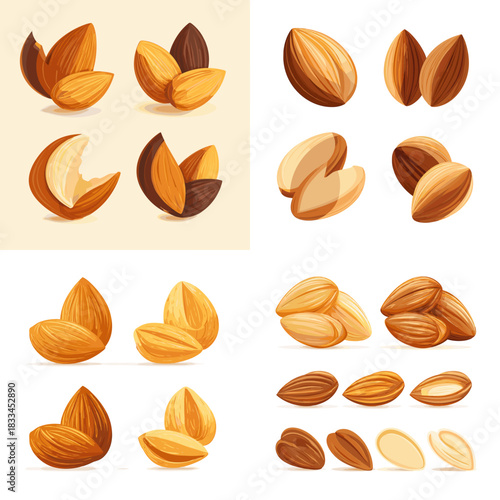 Set of realistic almond illustrations showing whole nuts, open shells, seeds, and roasted varieties in a clean food themed collection perfect for cooking branding and healthy nutrition designs.