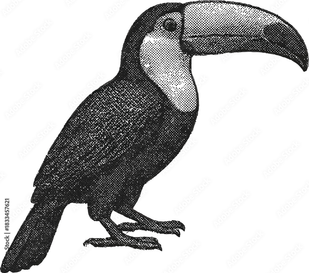 Obraz premium Halftone Toucan Illustration in Black and White