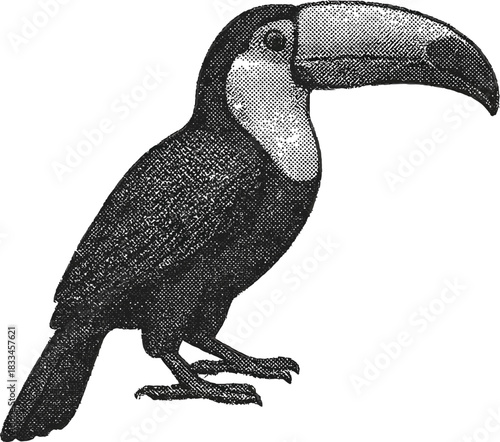 Halftone Toucan Illustration in Black and White