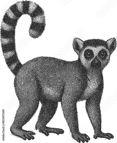 Halftone Lemur Illustration in Black and White