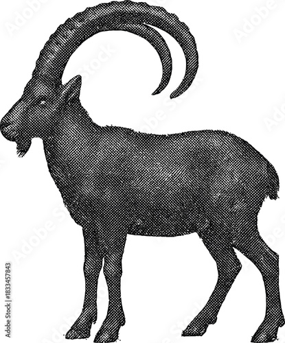 Halftone Ibex Illustration in Black and White