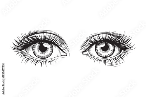 Detailed sketch of two expressive eyes with long lashes