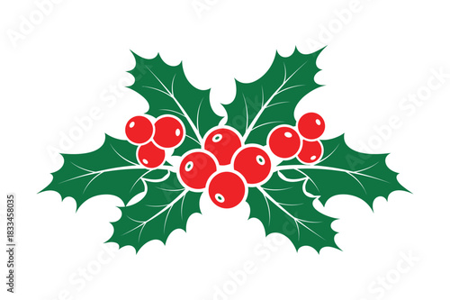 Festive holly sprig with red berries for christmas decorations