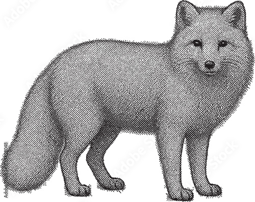 Halftone Arctic Fox Illustration in Black and White