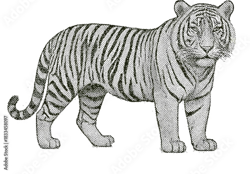 Halftone Tiger Full Body Illustration in Black and White