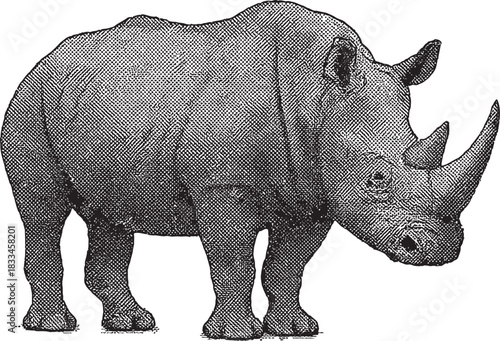 Halftone Rhinoceros Illustration in Black and White