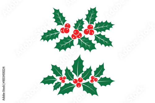 Two festive holly sprigs with red berries on white background