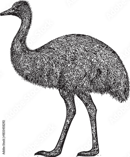 Halftone Emu Illustration in Black and White