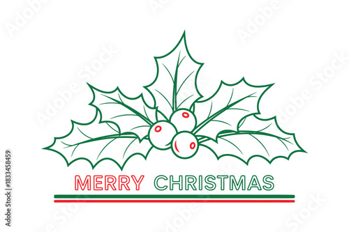 Hand drawn merry christmas holly and berries illustration