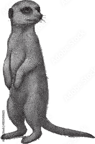 Halftone Meerkat Illustration in Black and White