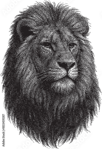 Halftone Lion Head Illustration in Black and White