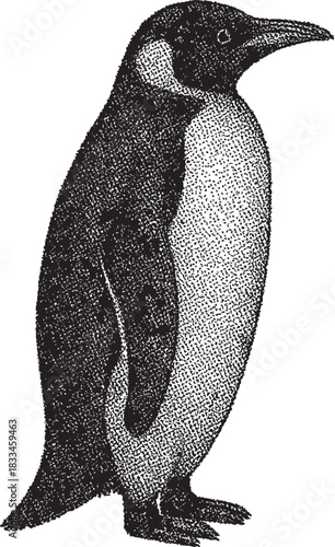 Halftone Penguin Illustration Isolated on White Background