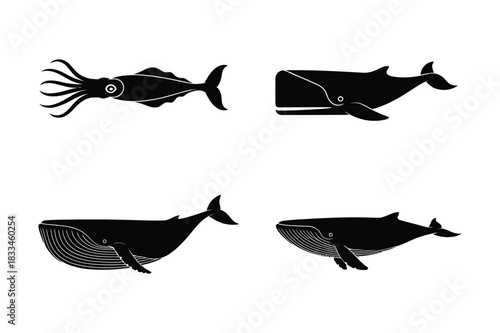 Four stylized silhouettes of marine life including a squid and three whales