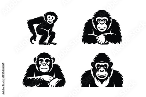 Four black and white illustrations of gorillas and chimpanzees