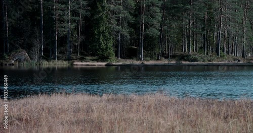 Nordic Forest Lake in Quiet Autumn Light – 4K