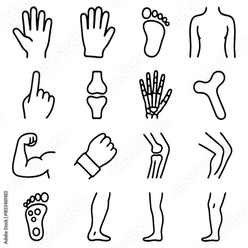 Human Body Icons: A comprehensive array of human body part icons are meticulously illustrated in a clean, minimalist style.