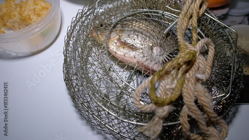 Live fish after fishing in a cage