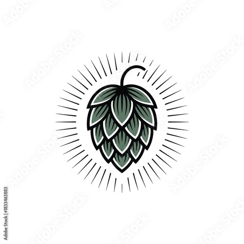 A stylized illustration of a hop cone with radiating lines.