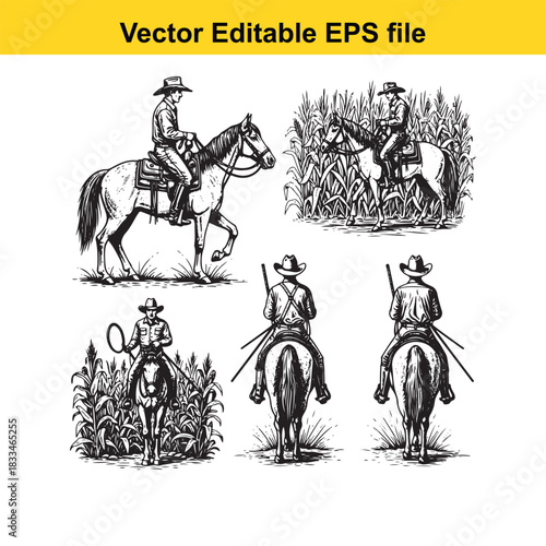 collection of vintage vector illustrations depicting cowboys riding horses in various poses, including one scene set in tall grass, isolated on white background
