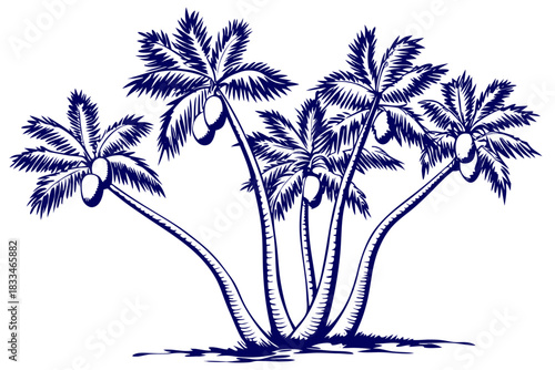 Vintage style blue ink drawing illustration of a cluster of five leaning coconut palm trees with coconuts, isolated on